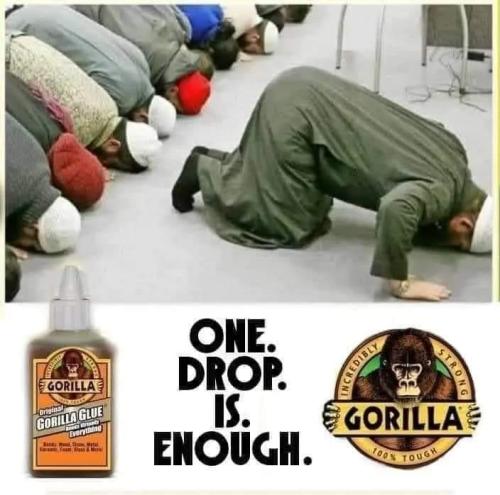 395942939_1706649973144636_8980286762810486685_n