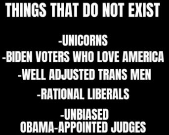 obozo appointed judges