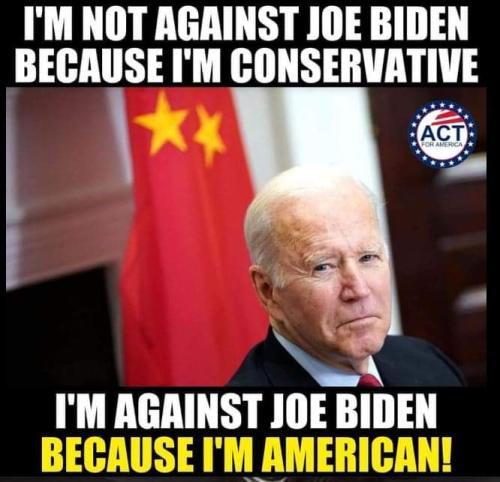 FB_IMG_1699211566843