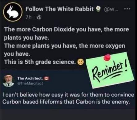 the more plants y ou have