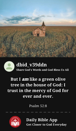 2023-10-311698789222680