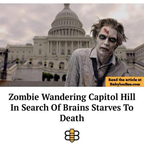 photo_2023-11-04_16-40-09