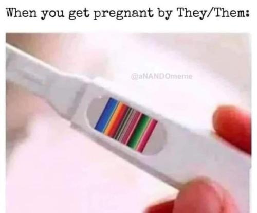 pregnacy test