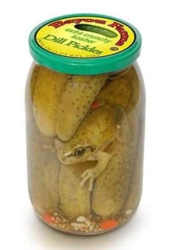 dill pickle frog