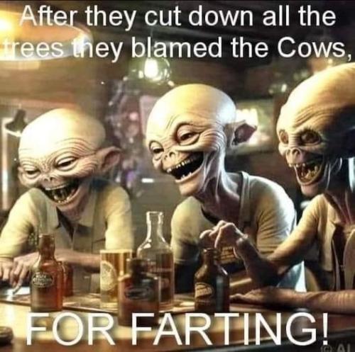 blame_cow_farts