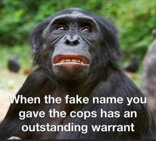 FB_IMG_1698858041551