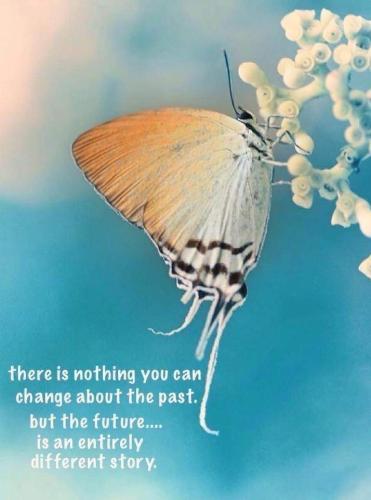FB_IMG_1699085848259