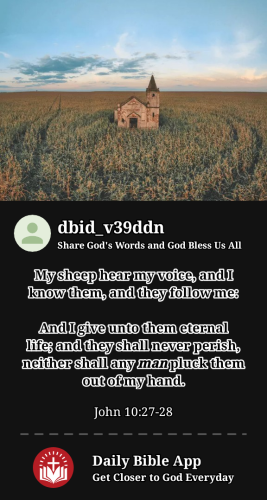 2023-10-301698720717455