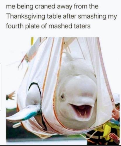 20231115_093130