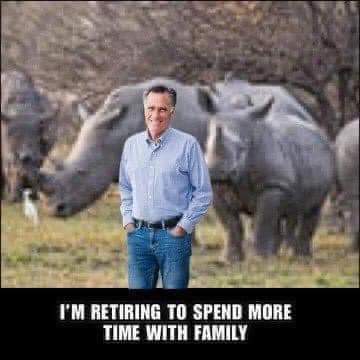 FB_IMG_1699385187723