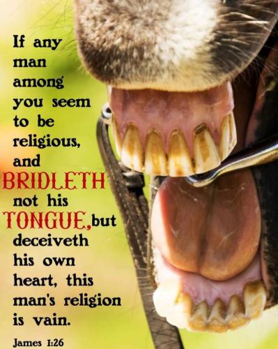 ae331d9c-59e7-42d5-afd4-5bb272409066