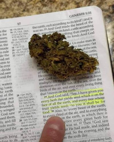 FB_IMG_1699289602673