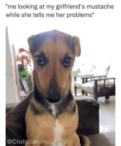 FB_IMG_1699285952614