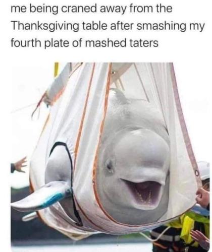 FB_IMG_1699843889624