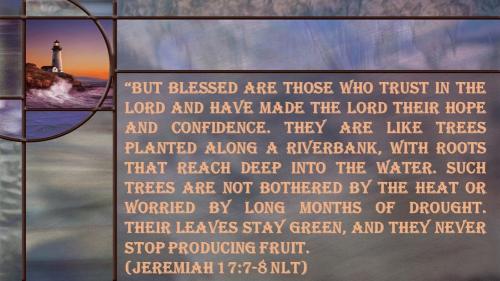Jeremiah 17_7-8