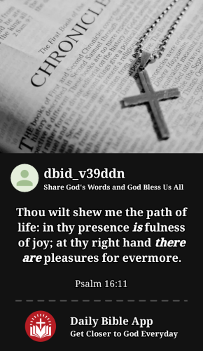 2023-11-231700788000543