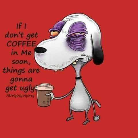 398947001_122116759034049576_3928224261879172787_n