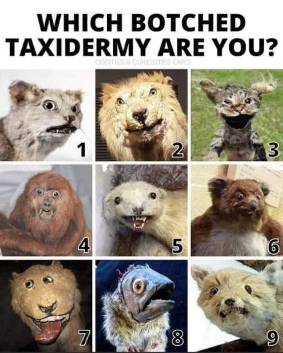 FB_IMG_1699029689106