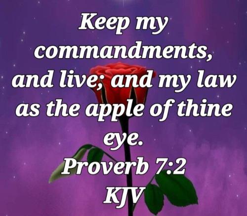 03:18:00 GMT-0800 (PST)