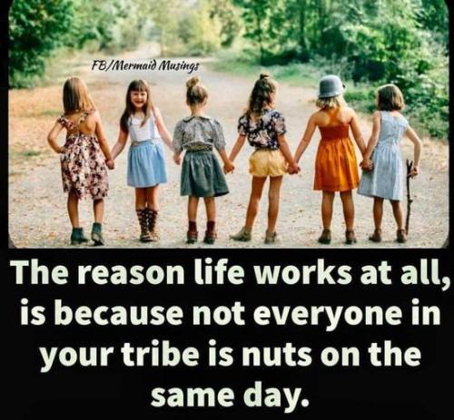 123727018_1527978754076328_5134158734599045753_n