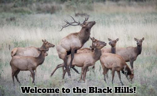 Not all heroes wear capes elk black hills