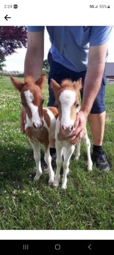 Screenshot_20231107_142434_Facebook