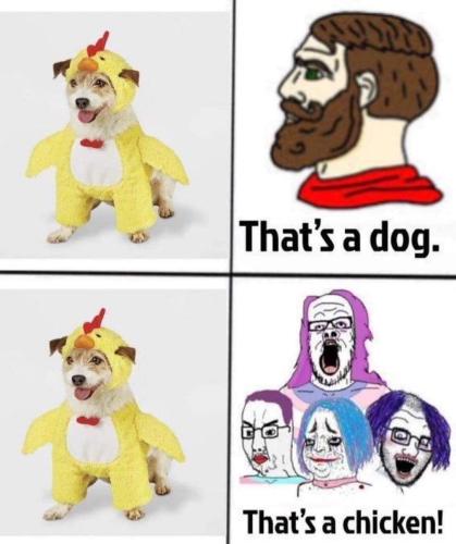 FB_IMG_1699588453817