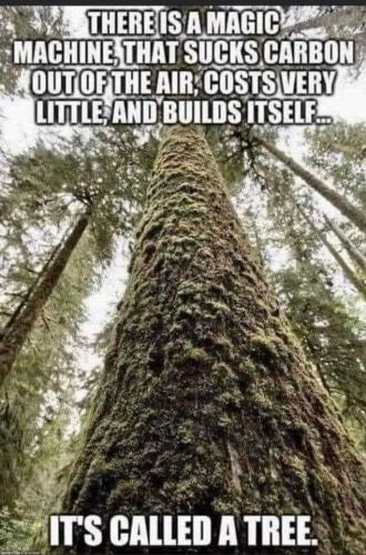 FB_IMG_1700587840204