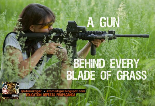 gun_behind_every_blade_of_grass