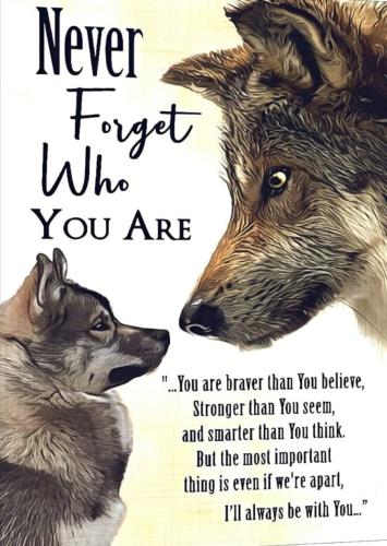 e498b6d6-6129-4908-874c-98a2c76c954f