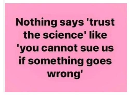 FB_IMG_1701092376740