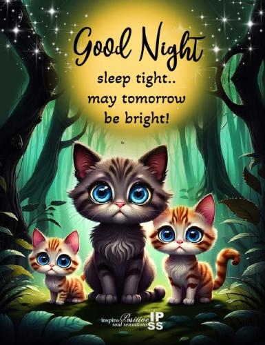 FB_IMG_1699645364317