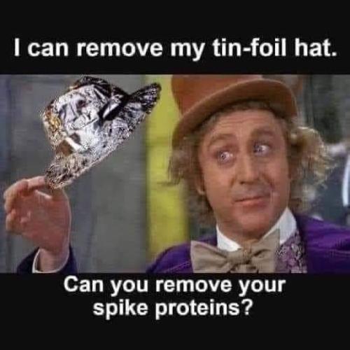 FB_IMG_1699291335877