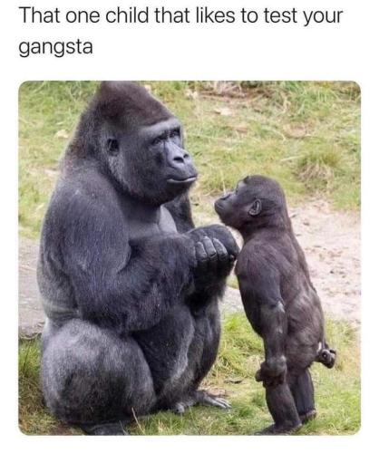 FB_IMG_1699590757751