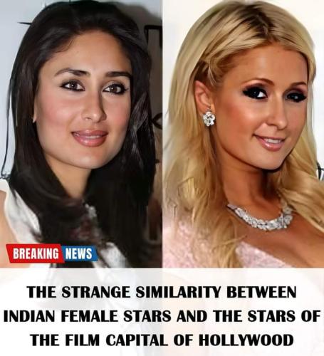 FB_IMG_1698858308876~2
