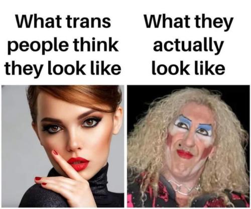 fa969f95d3c82ba5cd278edb8f914a08