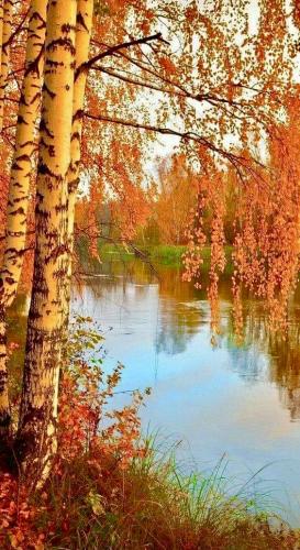 F4BDD36C-8F8F-4F12-A975-30E4119D0900