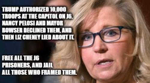 FB_IMG_1699388046778