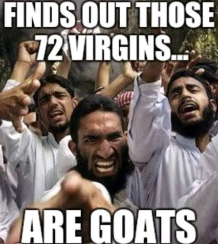 FB_IMG_1699278736141