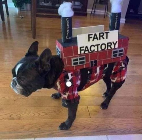 FB_IMG_1699034377488