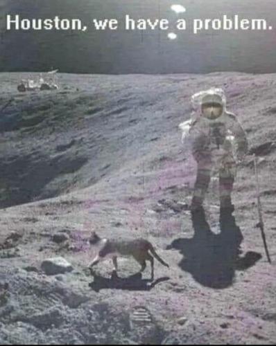 .         393779131_64573464010