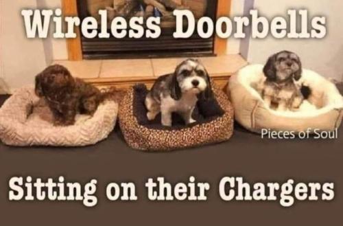 398222663_711446207515111_5479121150312025849_n