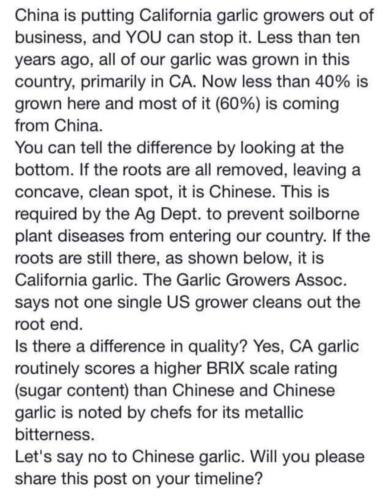 FB_IMG_1701110433427