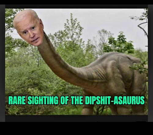 Screenshot_20231027_194403_Gallery