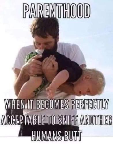 FB_IMG_1698902437334