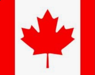 Screenshot_20231101_070832_Google