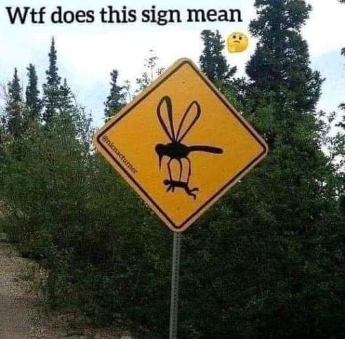 FB_IMG_1699651724346