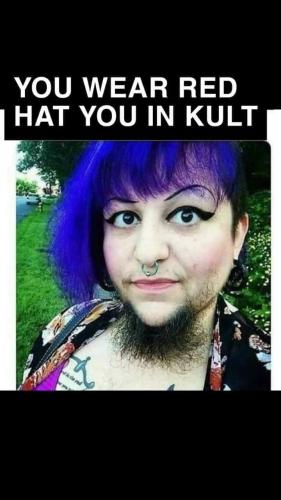 FB_IMG_1699139841624