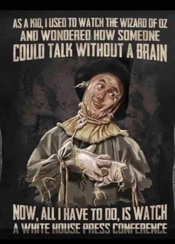 FB_IMG_1699155016729