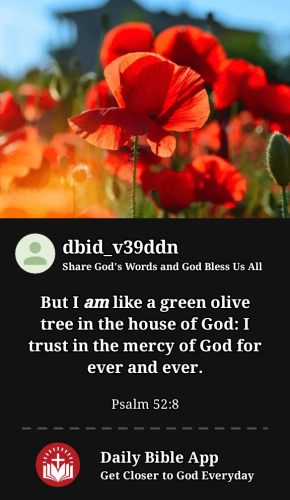 2023-11-071699420774688